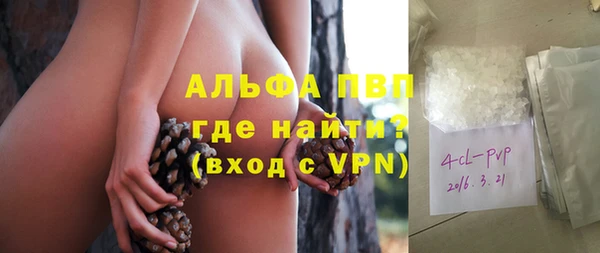 2c-b Пестово