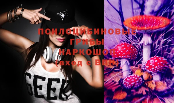 марки nbome Пересвет