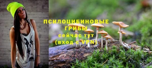 2c-b Пестово