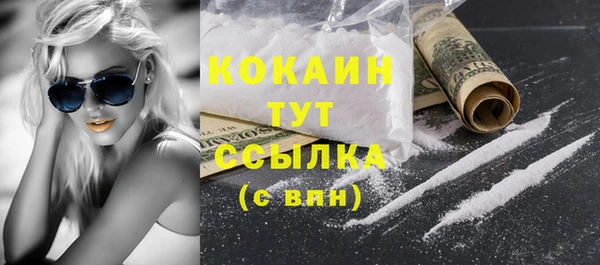 индика Покровск