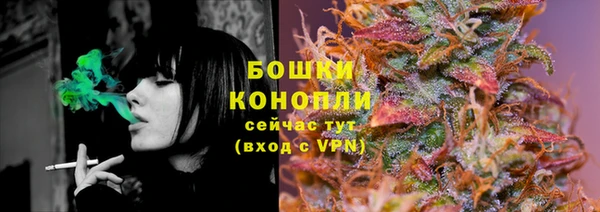 2c-b Пестово
